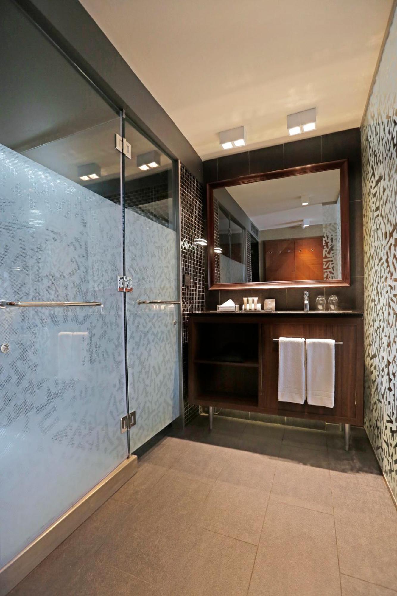 Hotel Cumbres Lastarria Santiago Room photo A shower enclosure